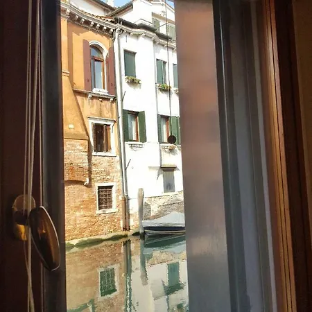 Mimosa * Venezia
