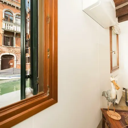 Mimosa * Veneza
